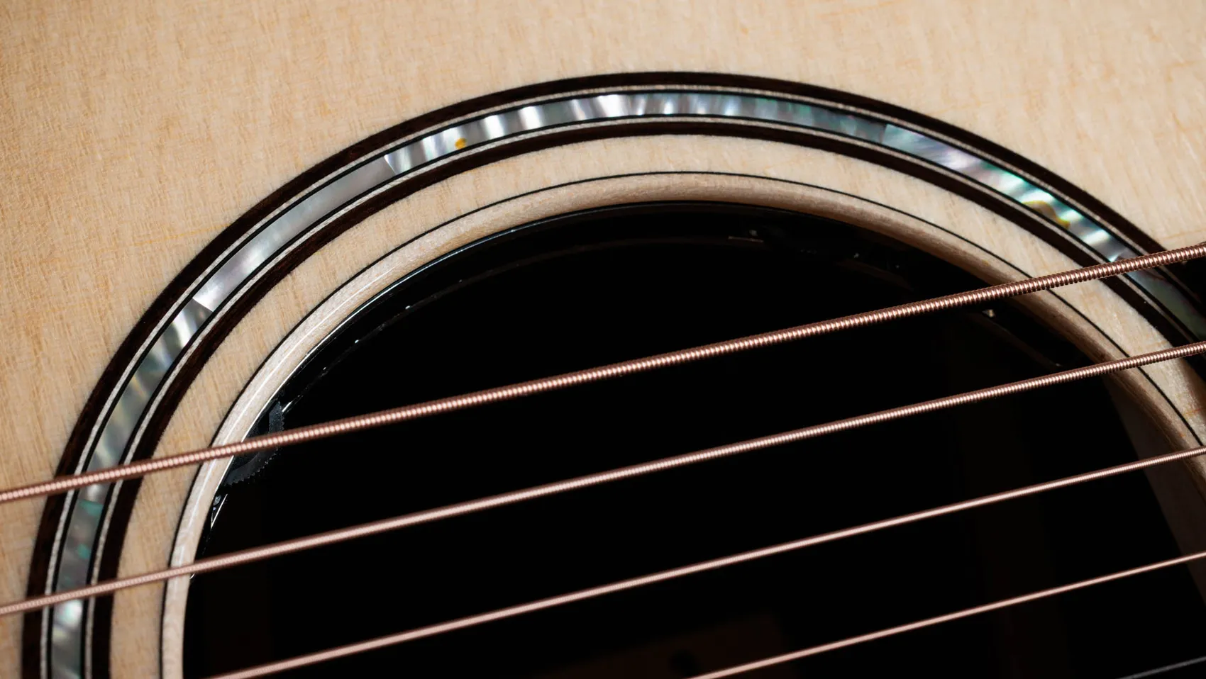 次世代812ceIndian Rosewood・アコースティック・エレクトリックギター